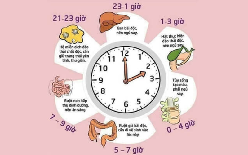 Tác Hại Của Việc Ngủ Không Đủ Giấc: Nguyên Nhân Và Hậu Quả