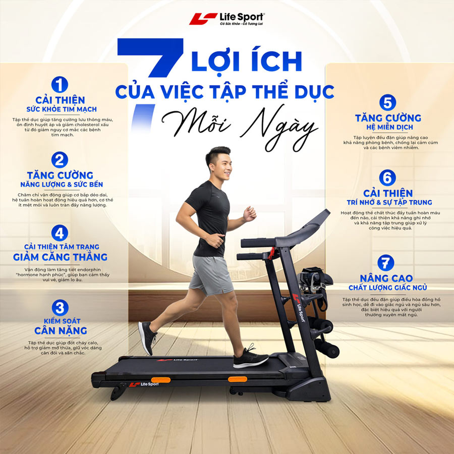 Top 5 Máy Chạy Bộ Tại Biên Hòa Được Ưa Chuộng Nhất Hiện Nay