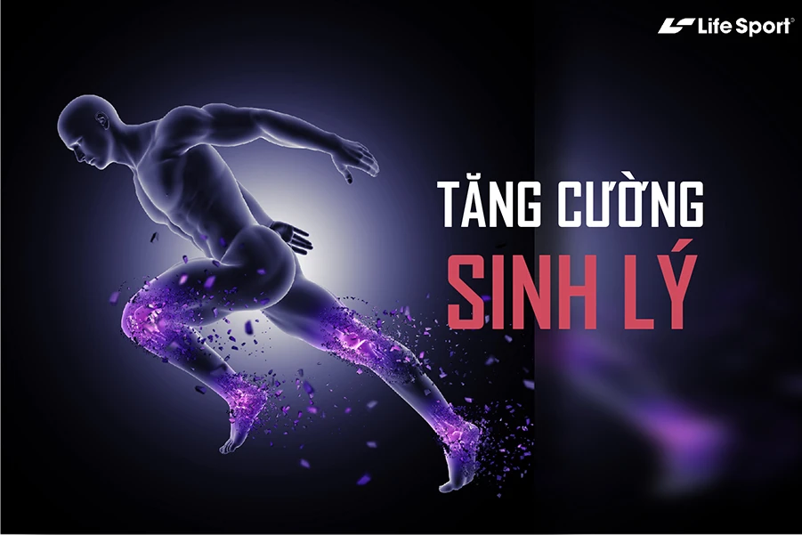 Sinh lý được tăng cường nhờ máy chạy bộ đa năng