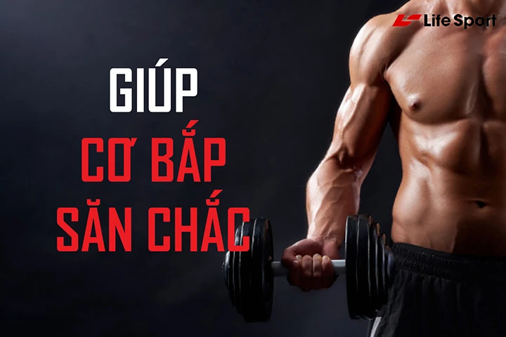 Máy chạy bộ Hải Dương giá rẻ | Góp 0%
