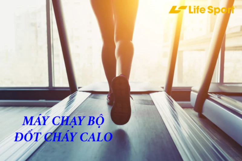 Máy chạy bộ Tân Phú đốt cháy calo