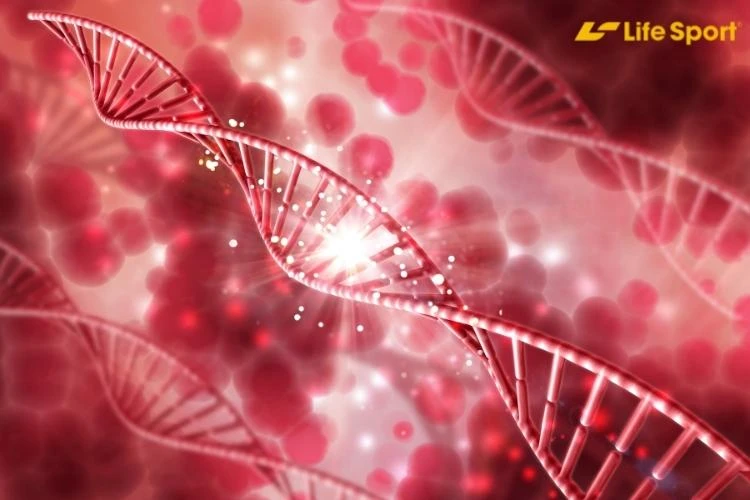 Thúc đẩy lưu thông máu