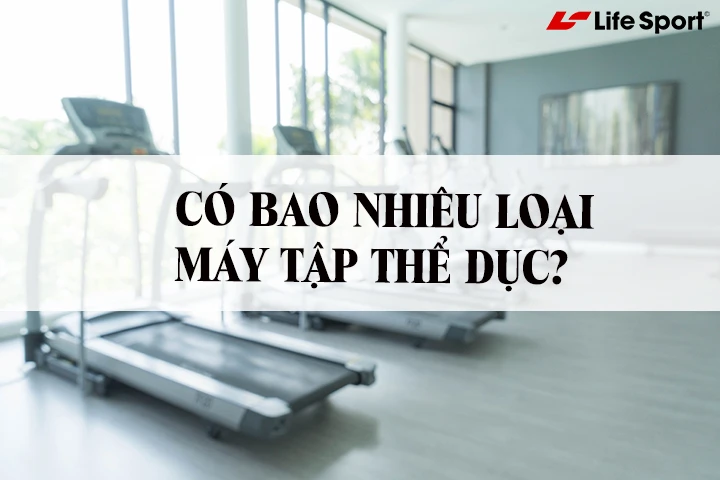 Có bao nhiêu loại máy tập thể dục | Chất lượng