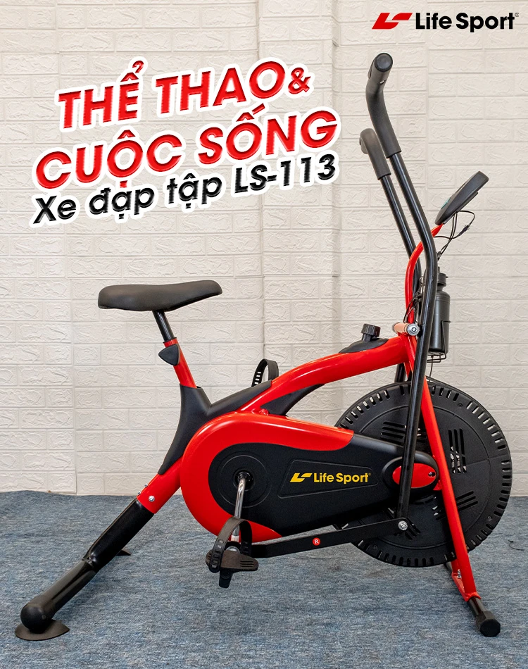 Xe đạp tập thể dục giá rẻ