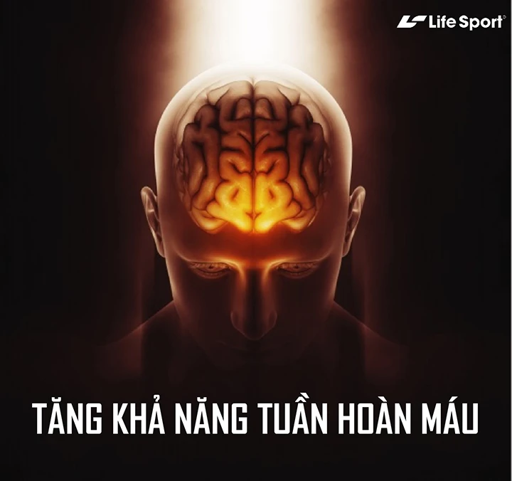 Tăng khả năng tuần hoàn máu