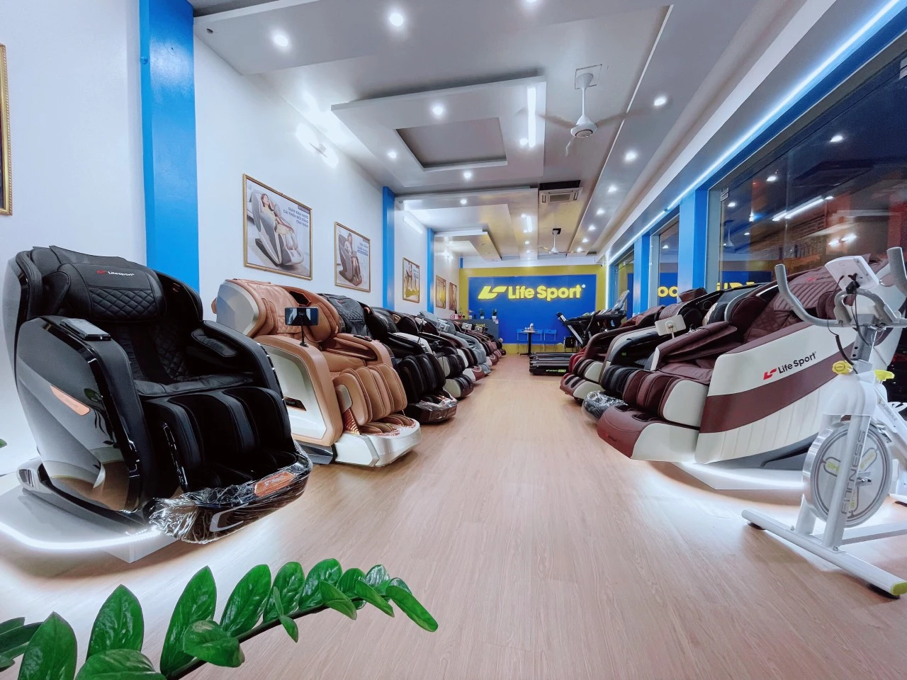 Showroom cửa hàng Lifesport Thái Bình 