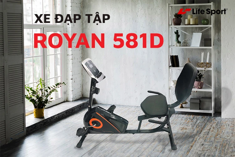 Xe đạp tập phục hồi chức năng Royan 581D | Chính hãng, giá tốt, góp 0%