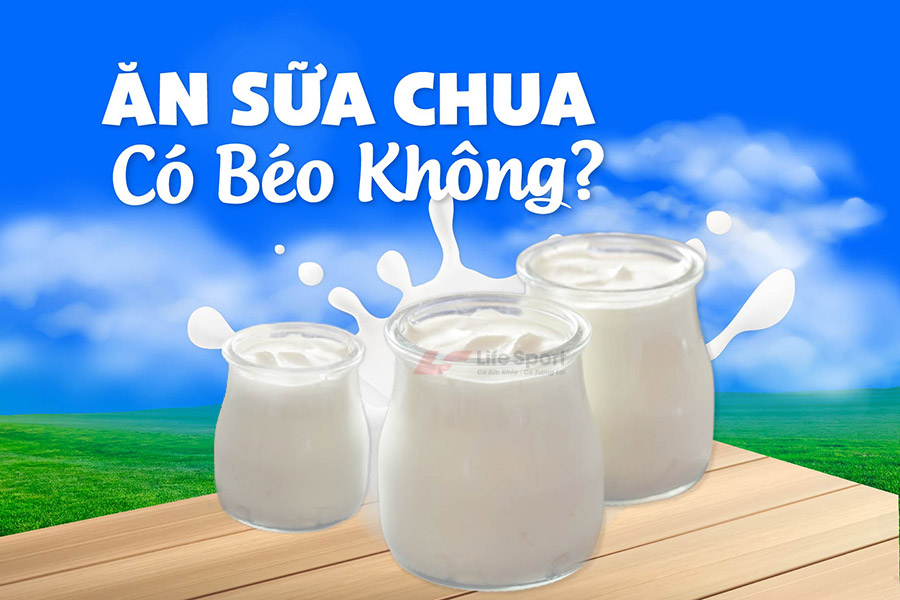 Ăn sữa chua có béo không? Thời điểm ăn sữa chua tốt nhất trong ngày