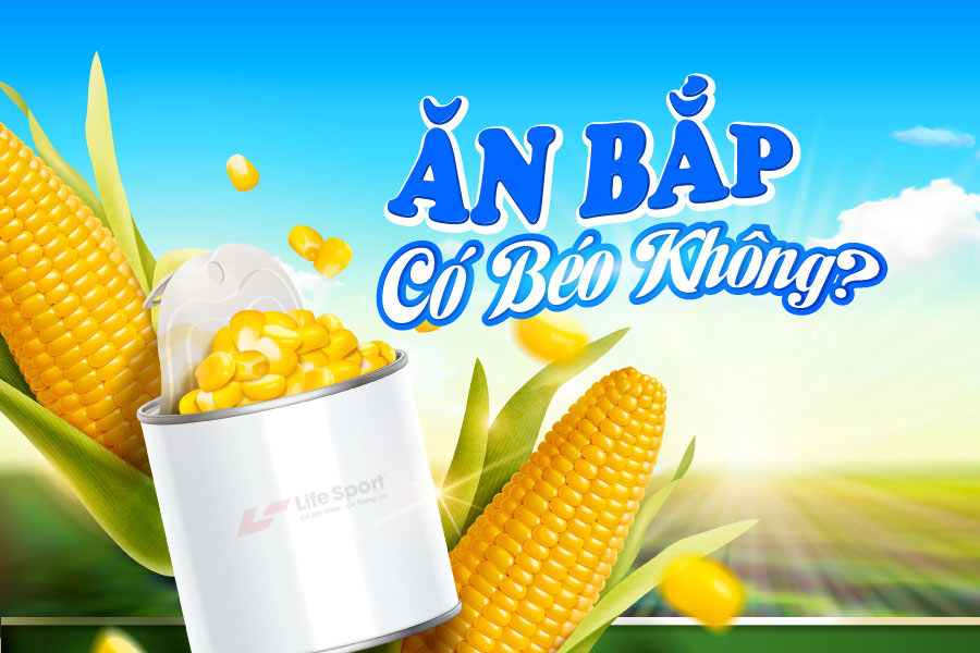 Ăn ngô (bắp) có béo không? 3 lợi ích khi ăn ngô