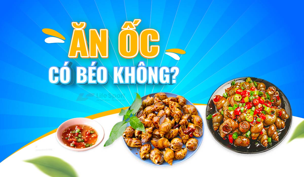 Ăn Ốc Có Béo Không? Top 5 Món Ốc Ăn Nhiều Không Lo Tăng Cân
