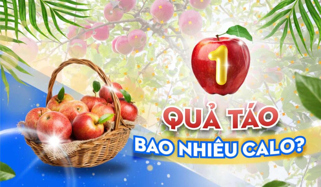 Một quả táo chứa bao nhiêu calo? Những lưu ý khi ăn táo