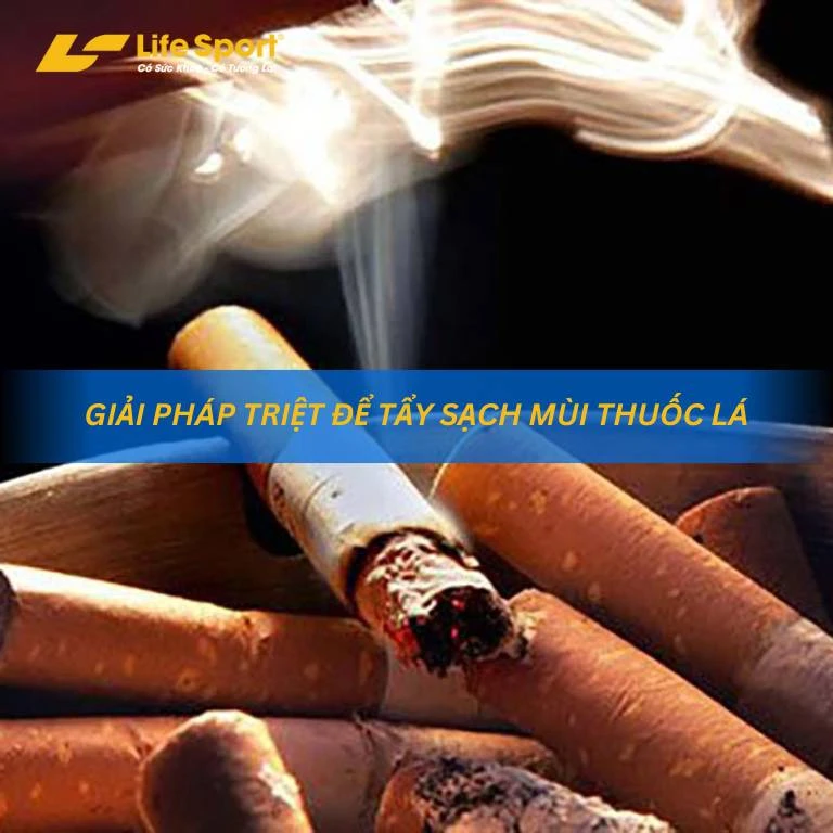 Giải Pháp Triệt Để Tẩy Sạch Mùi Thuốc Lá