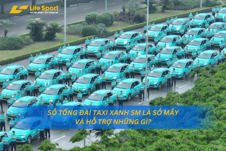 Số Tổng Đài Taxi Xanh SM Là Số Mấy Và Hỗ Trợ Những Gì?