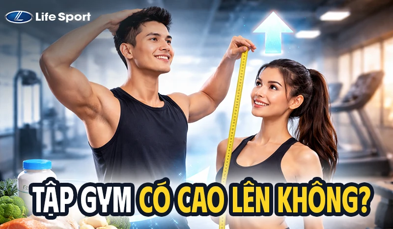 Tập Gym Có Cao Không? Khám Phá Thực Hư Đằng Sau Lời Đồn