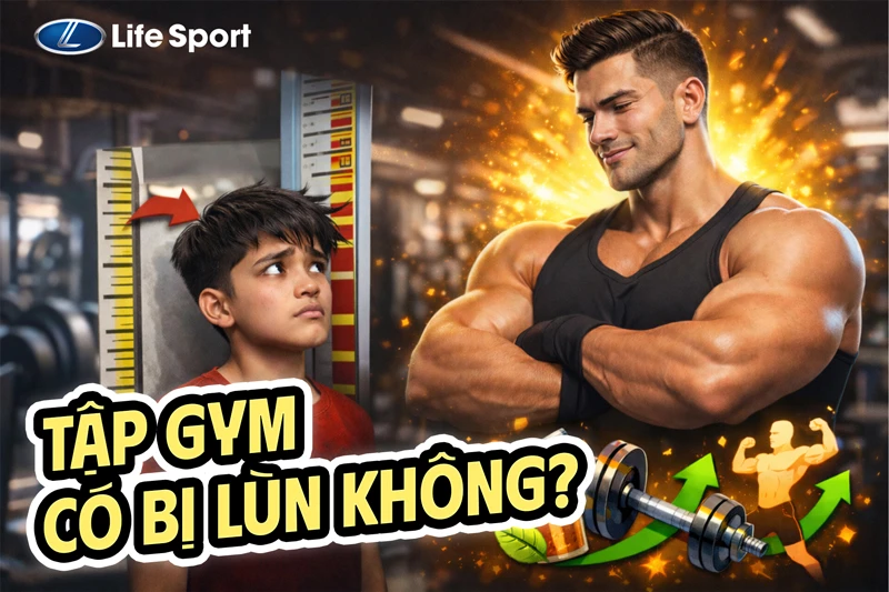 [Giải Đáp] Tập Gym Có Bị Lùn Không? Lợi Ích Khi Tập Gym